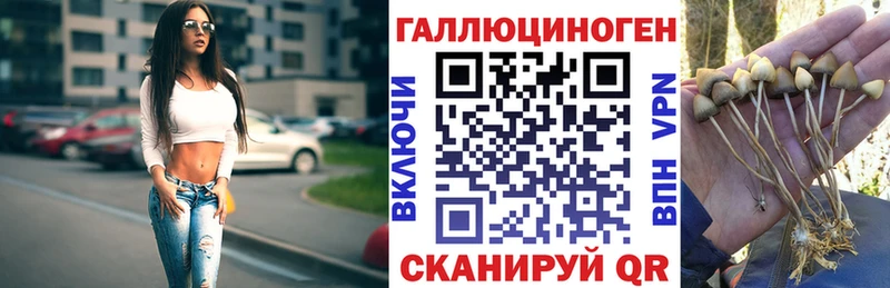Псилоцибиновые грибы ЛСД  Купить где  Луховицы 